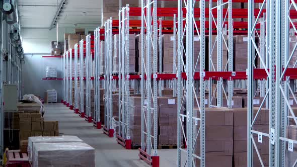 Modern Spacious Large Warehouse Storage and Consolidation of Goods