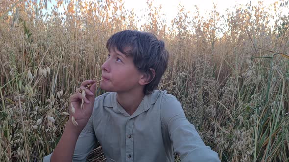 a boy in a shirt is sitting in a field with oats