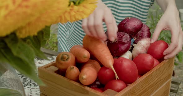 Farmer Sorting Vegetables in Box While Standing Indoors of Street Market