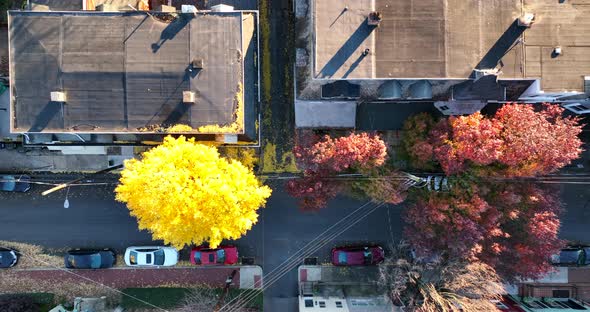 Top down aerial truck shot of quiet urban residential street. Homes and apartment buildings during m alt