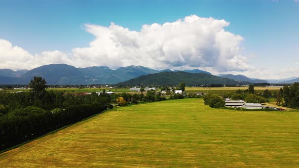 Canada British Columbia Chilliwack BC Aerial Drone, mountain, river, trees, nature. 4k 60p. alt