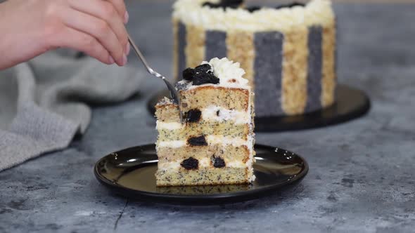 Piece of Delicious Cake with Prunes Nuts and Poppy Seeds