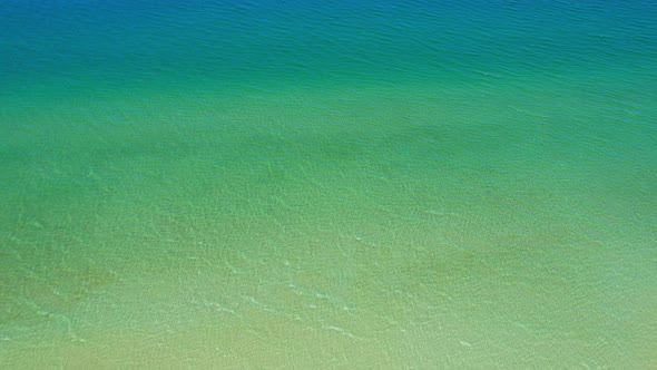 Drone flying over the coconut palms with the beach and the sea alt