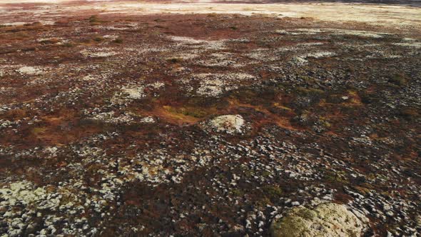 Volcanic Landscape in Autumn Close To Thingvellir Nation Park Iceland