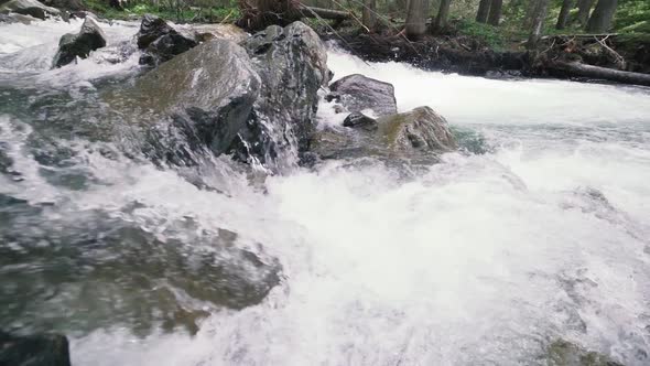 Mountain River with Rocks in Wood Slow Motion Footage Dolomites South Tyrol Italy alt