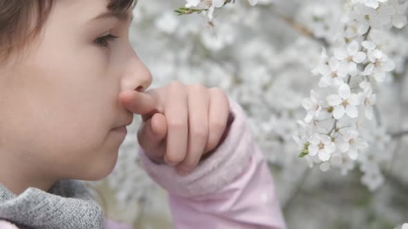 Pollen allergy.  alt