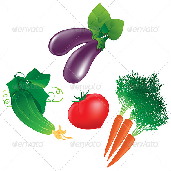 Four Different Vegetables - Organic Objects Objects