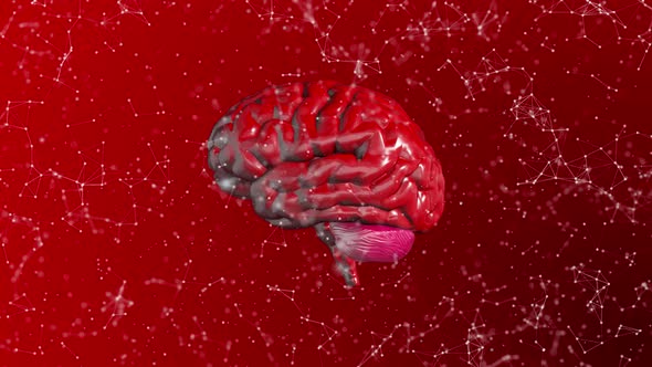 Red Plexus Brain Background