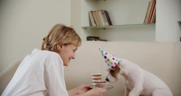 Young Family with Their Jack Russell Dog Celebrate Birthday Party at Home alt