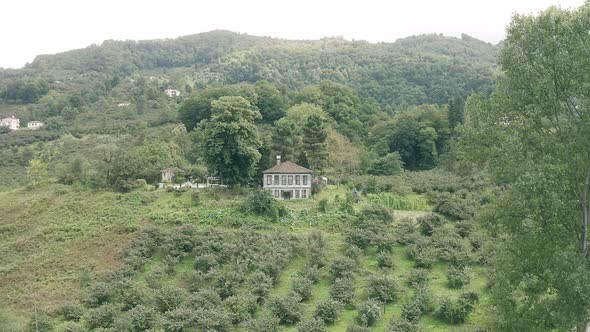 Trabzon Old House Aerial View