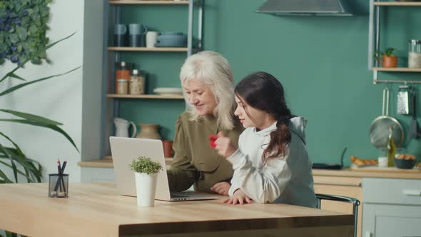 Teen Granddaughter Teach Grandmother How To Use Laptop Make Purchases Online alt
