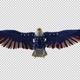 American Eagle - USA Flag - Flying Transition - V - 321