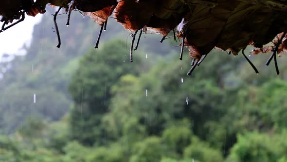 Rain is falling from the grass hut roof in countryside