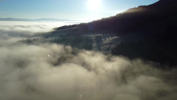 Shooting Fog Over the Forest in the Mountains. Dawn in the Highlands. Aerial Shot