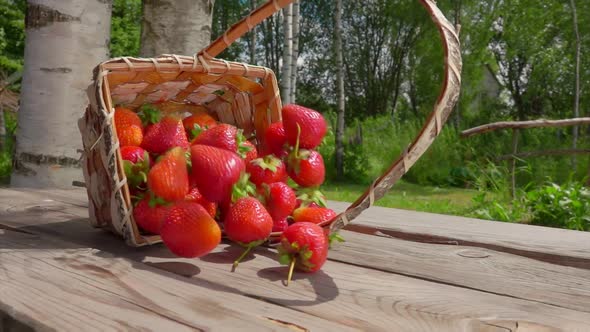 Strawberries Fall on a Table and Roll Forward alt