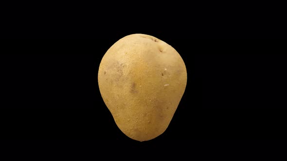 Realistic Potato Rotating With Alpha Channel alt