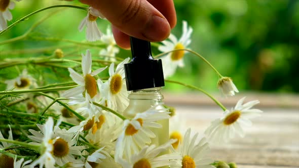 Extract and Tincture of Chamomile in a Small Bottle alt