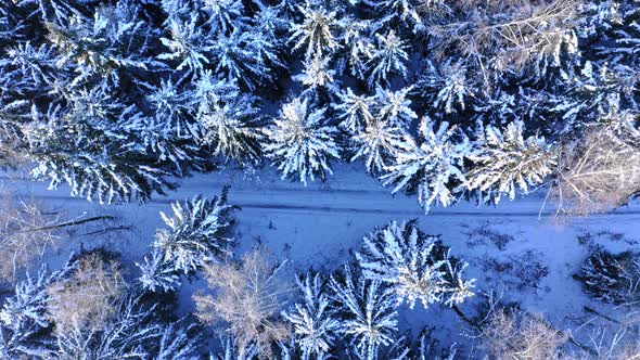 Road in snowy forest. Transportation in winter. Aerial view alt