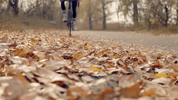 Cyclist Riding On Autumn Fallen Leaves. Triathlete Cyclist Training For Triathlon. Cycling Athlete. alt