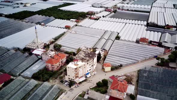 High angle drone aerial view of greenhouse fields of greens plantation in Demre, Turkey alt