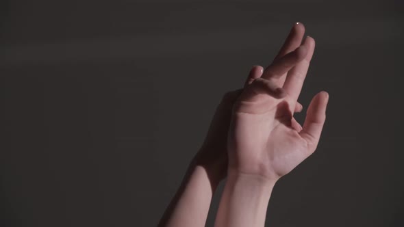 Beautiful Female Hands on a White Background alt