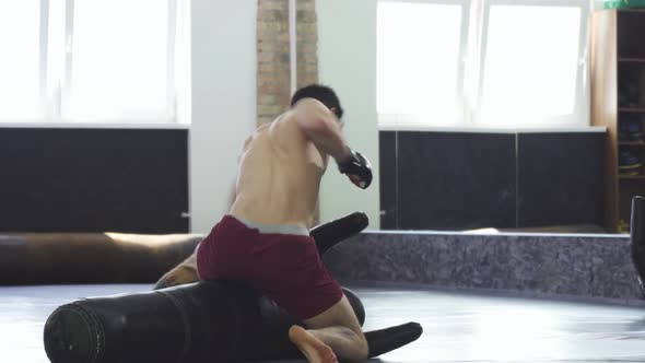 Professional Mma Fighter Practicing Grappling and Punching at the Gym alt