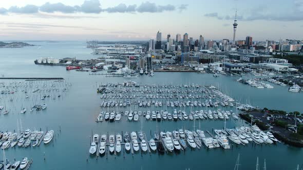Viaduct Harbour, Auckland New Zealand alt