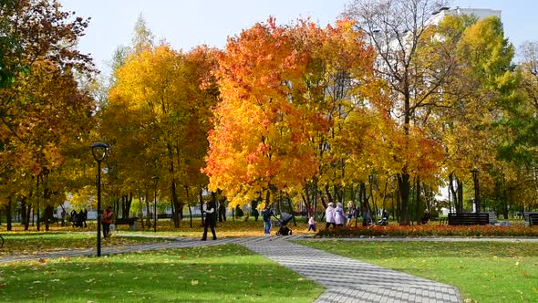 Moscow, Russia, People Walk with Children in a Beautiful Autumn City Park