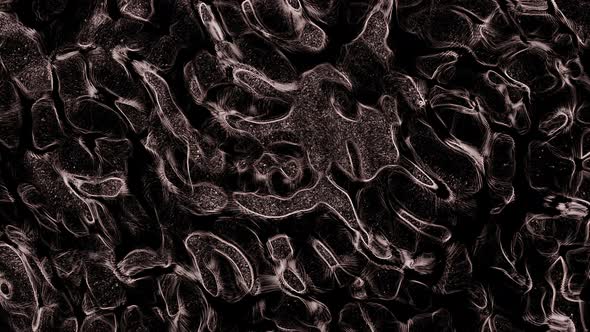 Sound Waves on Water Resulting From Vibration. Cymatics Science of Sounds alt