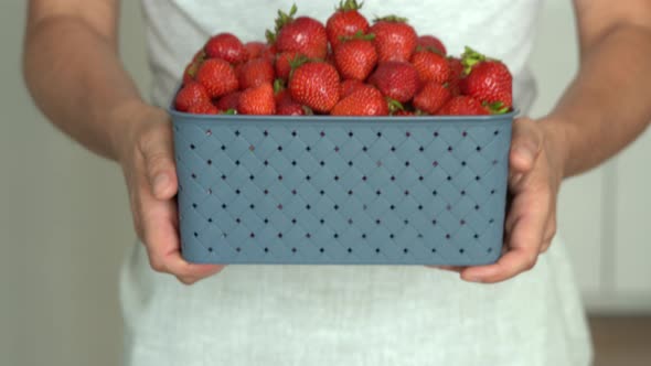 Farmer Hands Hold Basket with Fresh Ripe Red Strawberry