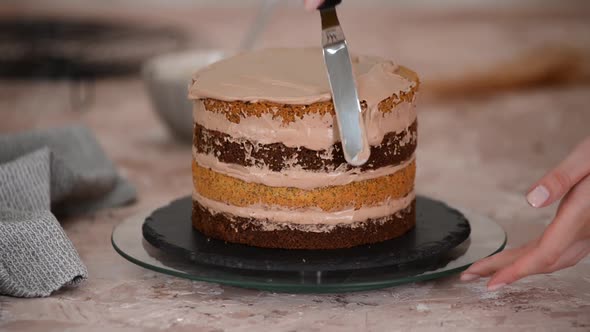 Close up of woman hands making sweet cake with chocolate cream and biscuit.