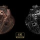 Heart Of Glass And Particles - VideoHive Item for Sale