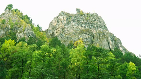 Panoramic View Of The Mountains With Green Forest 4k