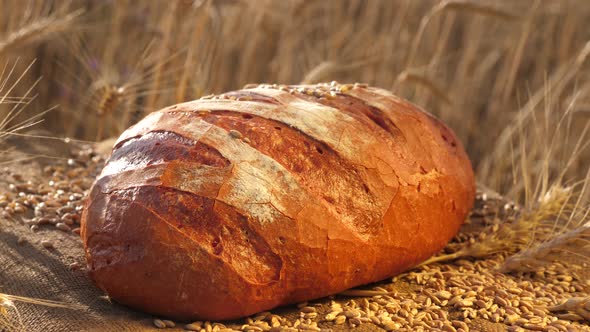Tasty Bread Lies in a Field on a Bag with Ears of Corn and Wheat. Baking Bread. Wheat Field alt