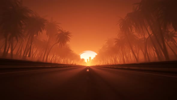 Endless tropical road full of palmtrees leading to the city during sunset. 4KHD