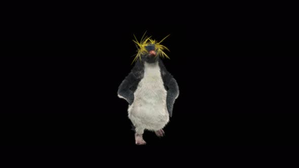 Penguin Dancing 4K alt