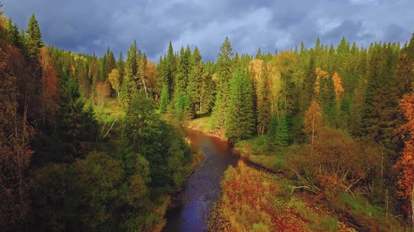 Colorful Mixed Forest with Red, Yellow, and Green Foliage in Autumn. Aerial View of Deciduous and alt