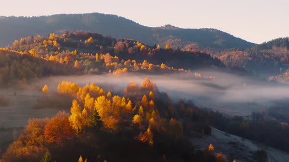 Aerial View of Mountain Forest in Low Clouds at Sunrise in Autumn