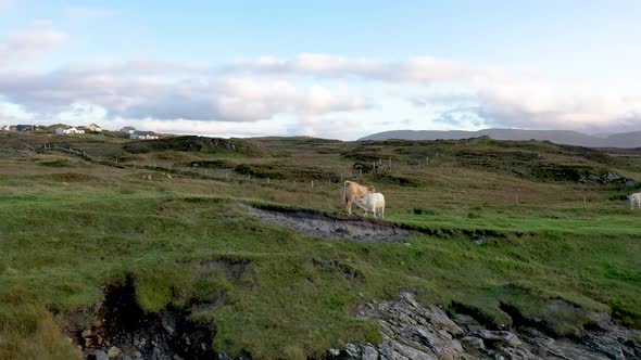 The Beautiful Atlantic Coast at Rossbeg Harbour in County Donegal  Ireland alt