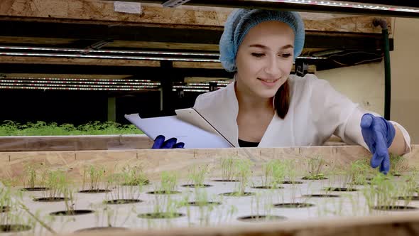 Woman Biotechnologist using tablet to check quality and quantity of vegetable in hydroponic farm alt