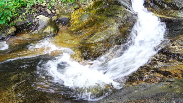Water Flow in the Forest Rocks