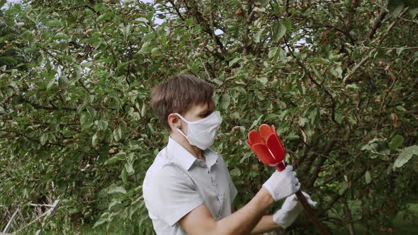 Caucasian Man Takes Green Apple Out of Picker Examines It and Leaves alt