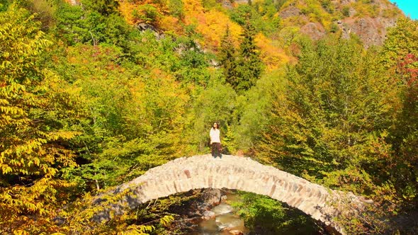 Female Tourist Walks On Ottomon Style Bridge Landmark  alt