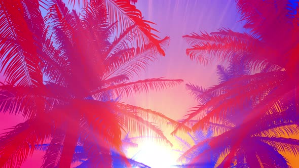 Summer Background Colorful Plam Tree