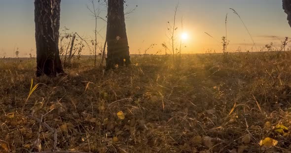 Meadow Timelapse at the Summer or Autumn Time alt