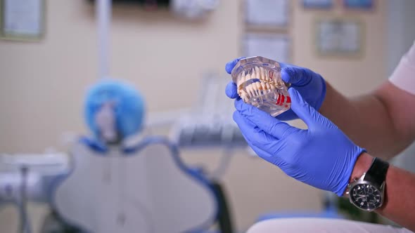 Doctor shows on a plastic jaw sample or model different methods of teeth treatment. alt