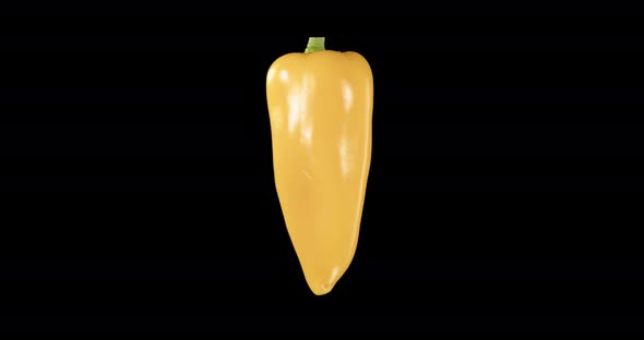 Yellow Pepper. Alpha Channel. Rotation