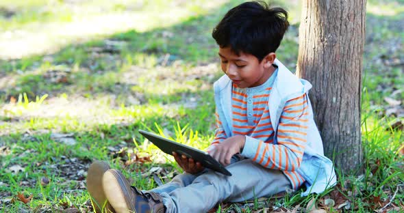 Boy using digital tablet alt