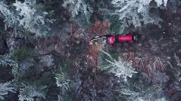 Wood Processing Factory. Aerial shot, Forest Logging Machinery Equipment