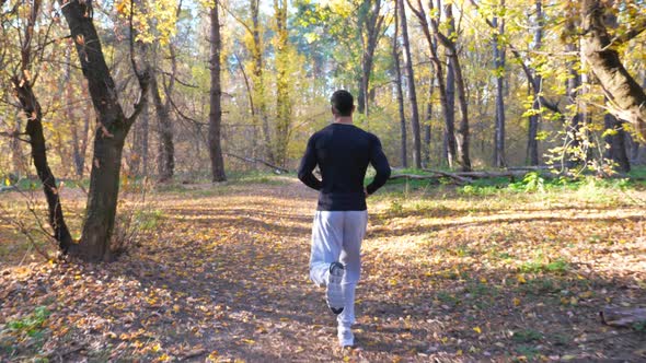 Unrecognizable Man Running Along Forest Path alt